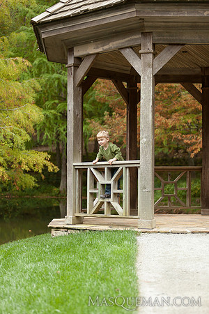 Struve_Gibbs_Gardens-44