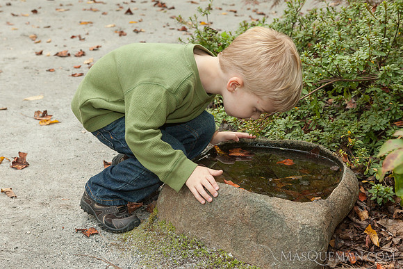 Struve_Gibbs_Gardens-269