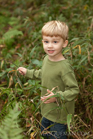 Struve_Gibbs_Gardens-341