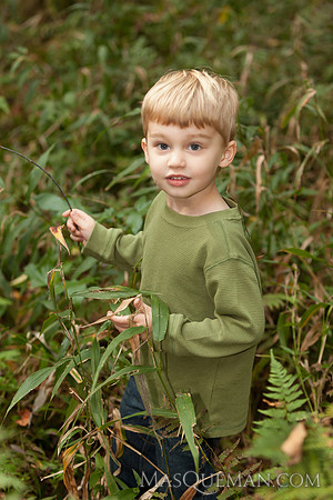 Struve_Gibbs_Gardens-340