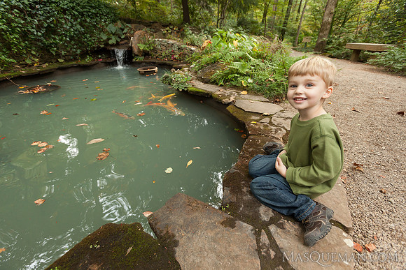 Struve_Gibbs_Gardens-360