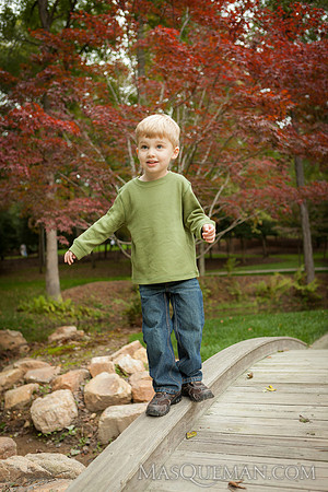 Struve_Gibbs_Gardens-34